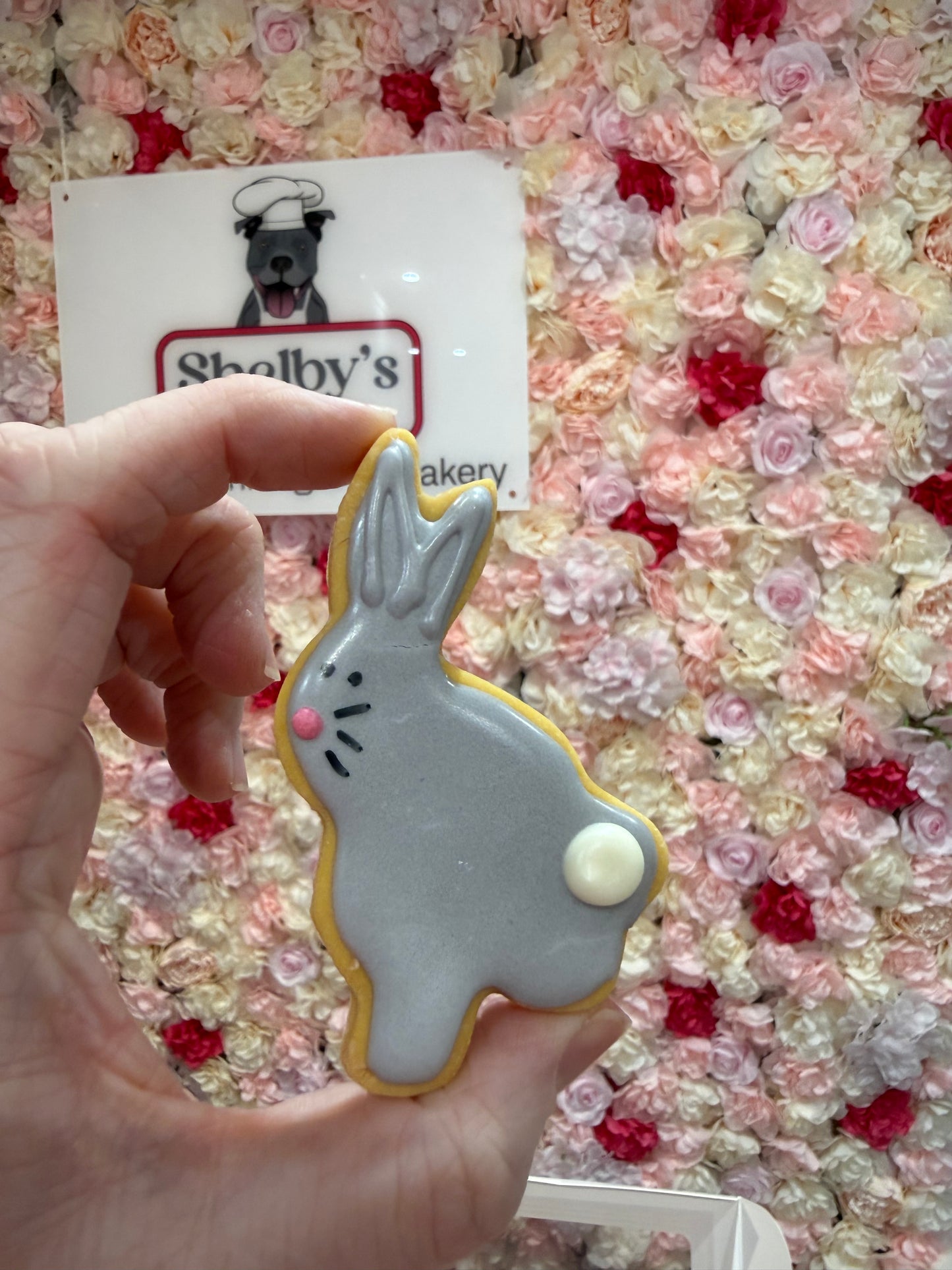 Decorated Bunny, Carrot and Egg Cookies