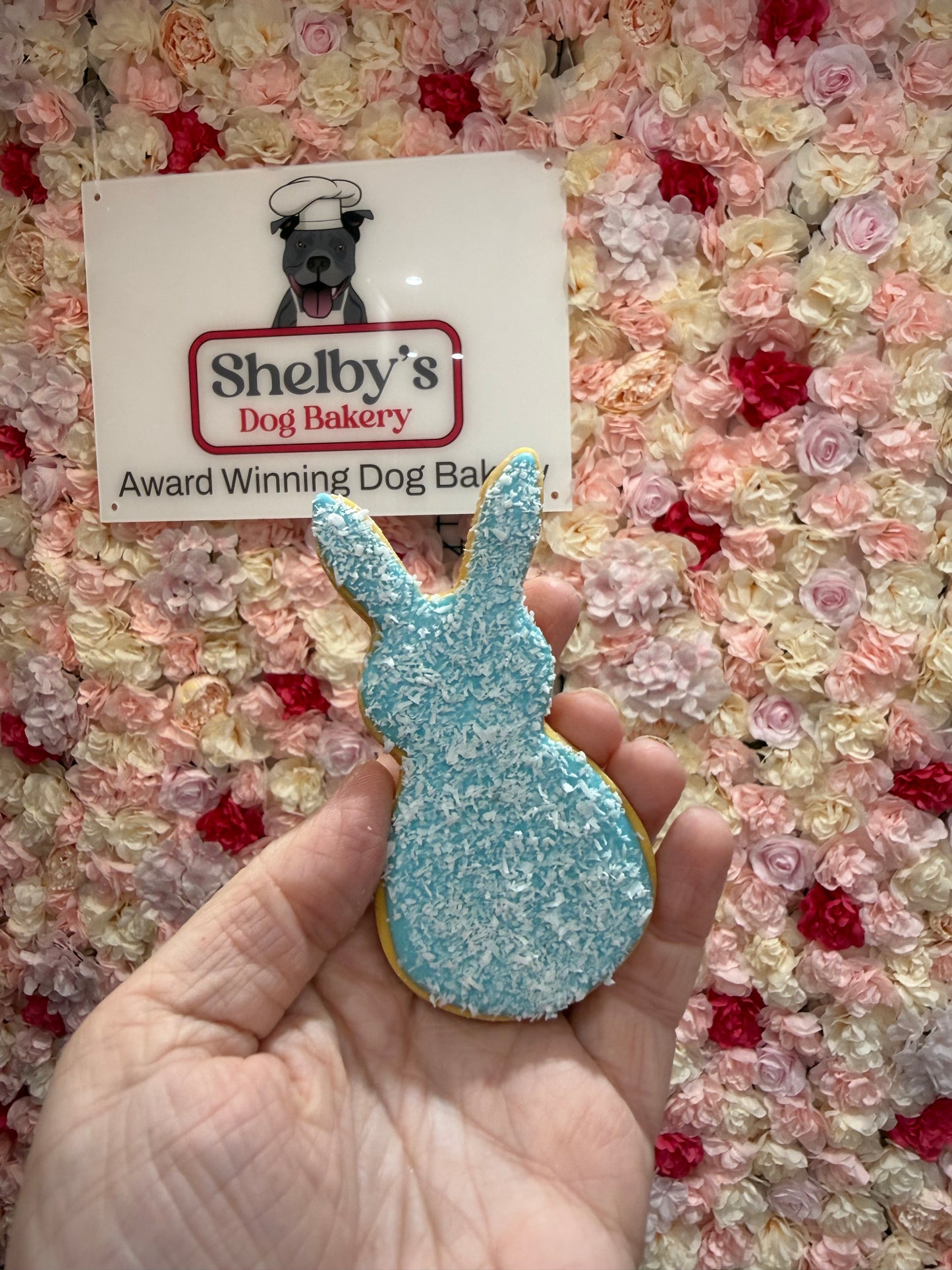 Pastel Coloured Coconut Bunnys