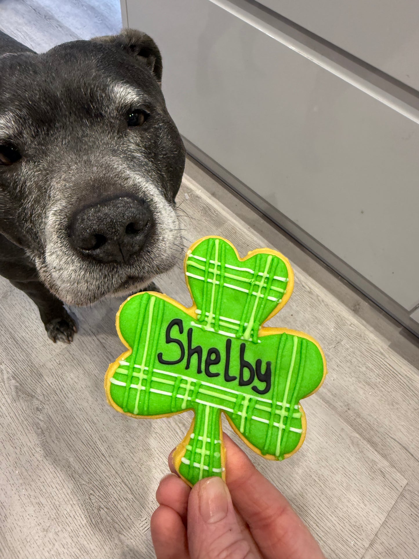 Personalised St Patricks Day Large Shamrock
