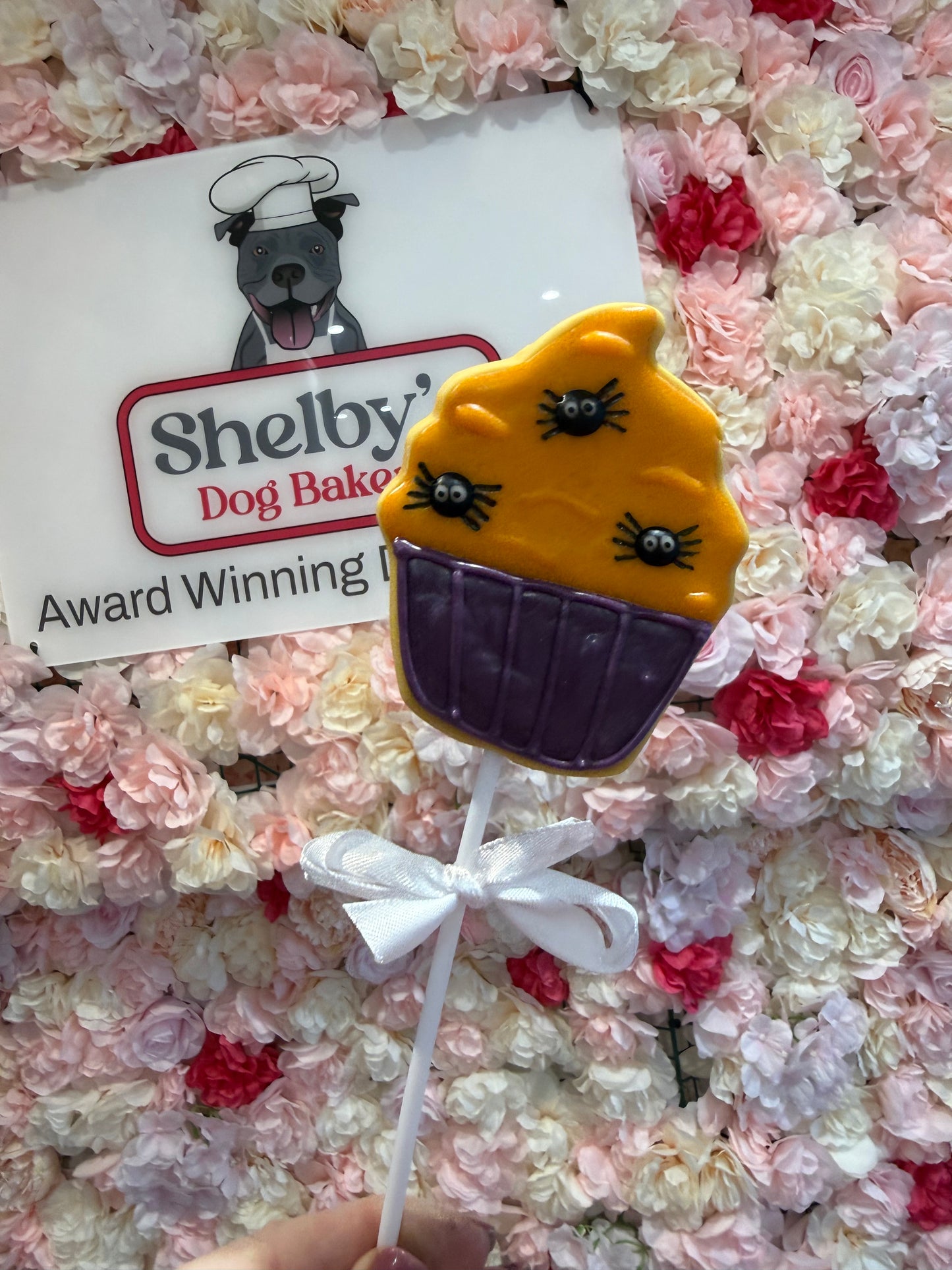 Cute Halloween Spider Pupcake Cookie Lollipop