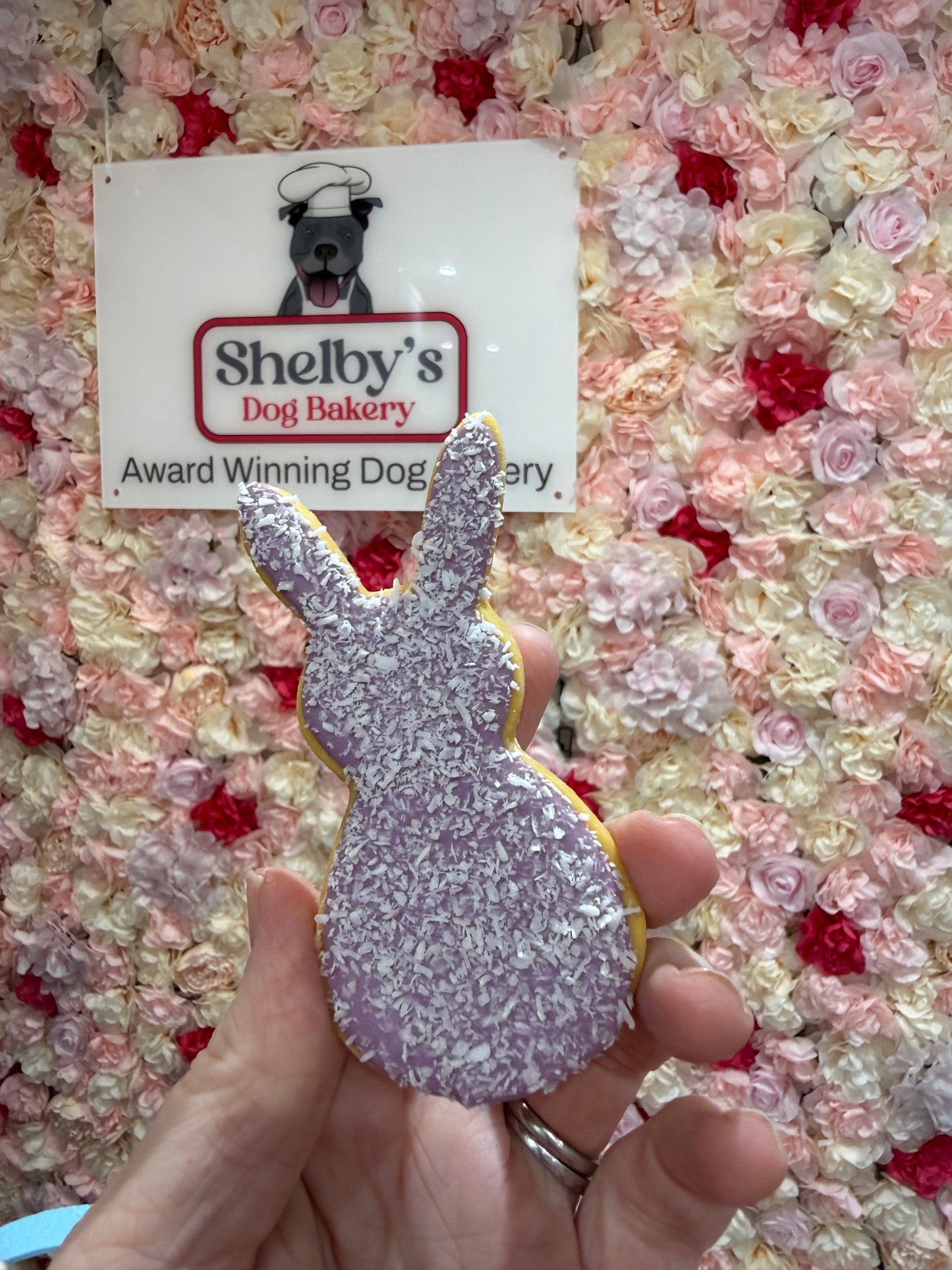 Personalised Egg and Bunny Pack - Choose Colour