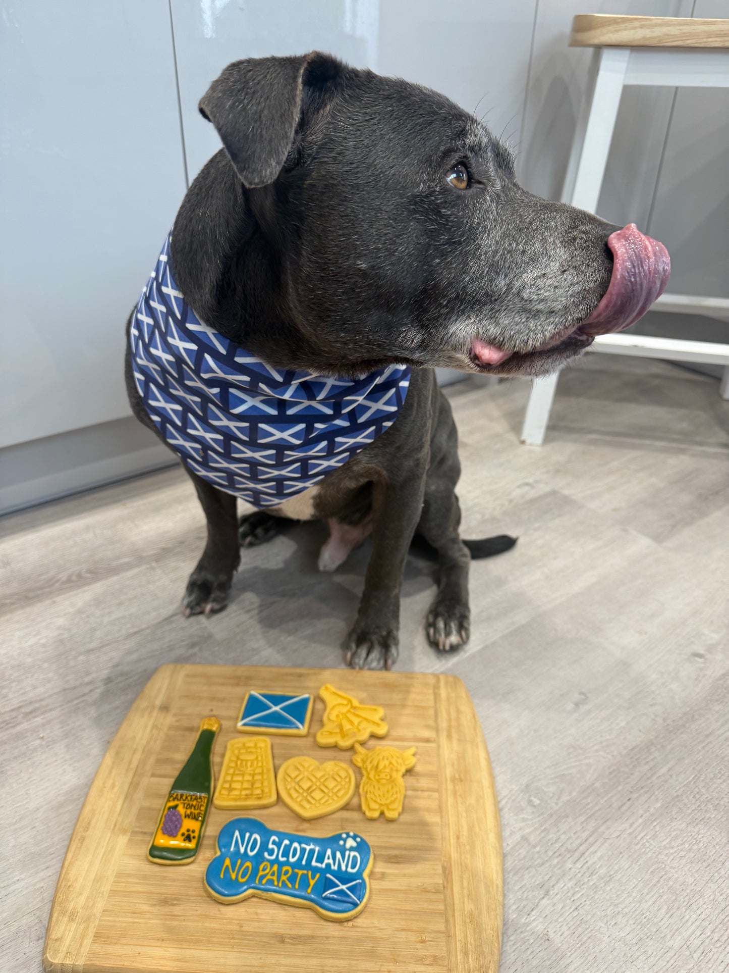 SCOTLAND COOKIES - WORLD CUP 2026