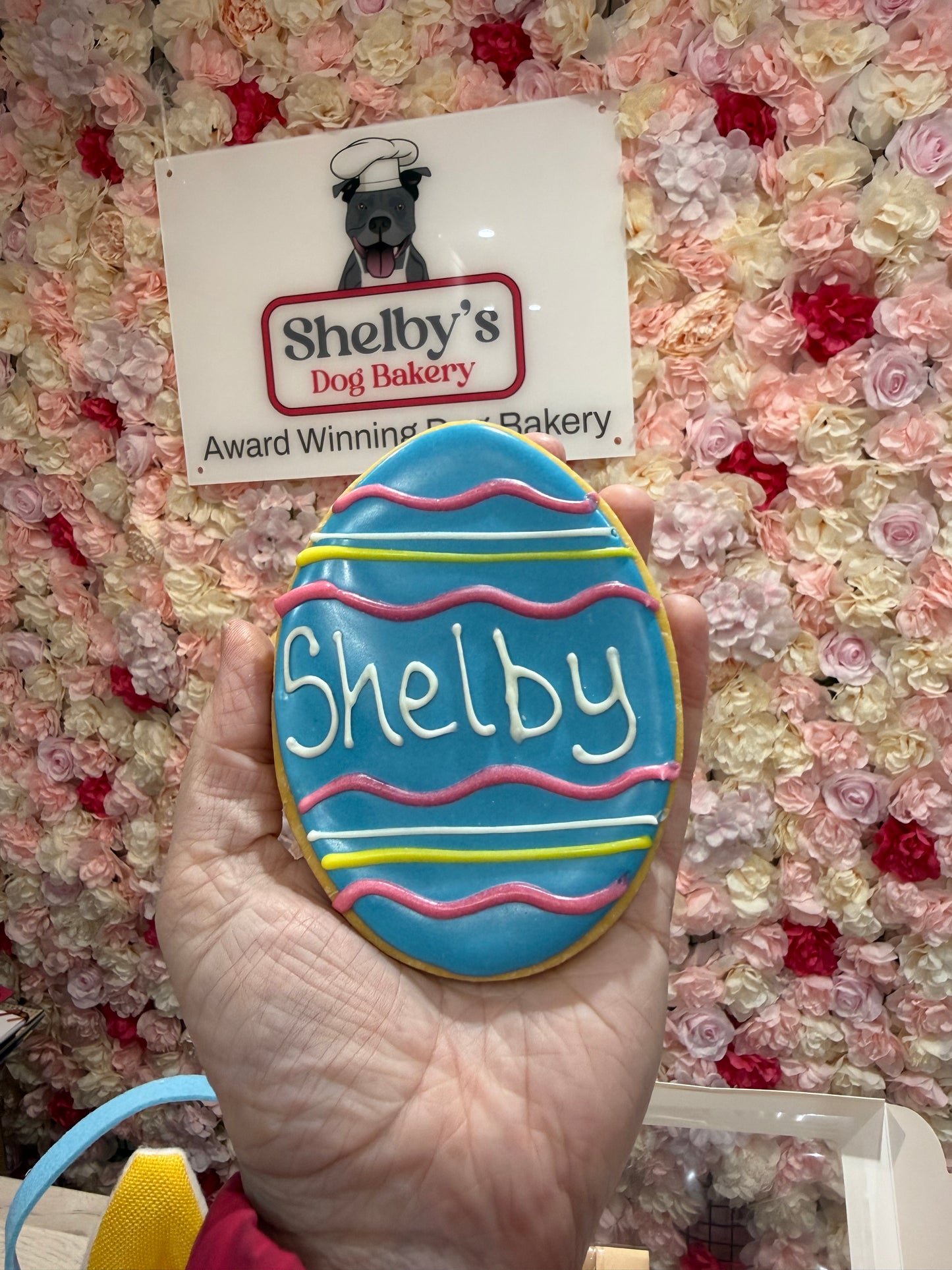 Large Dog Cookie - Easter Egg - Choose Main Colour