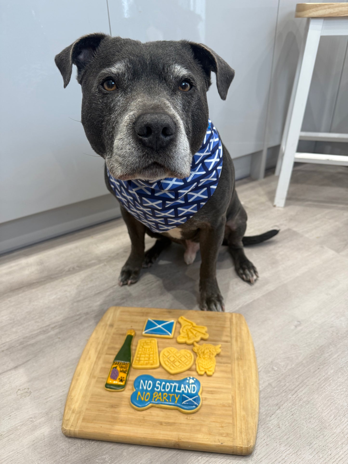 SCOTLAND COOKIES - WORLD CUP 2026