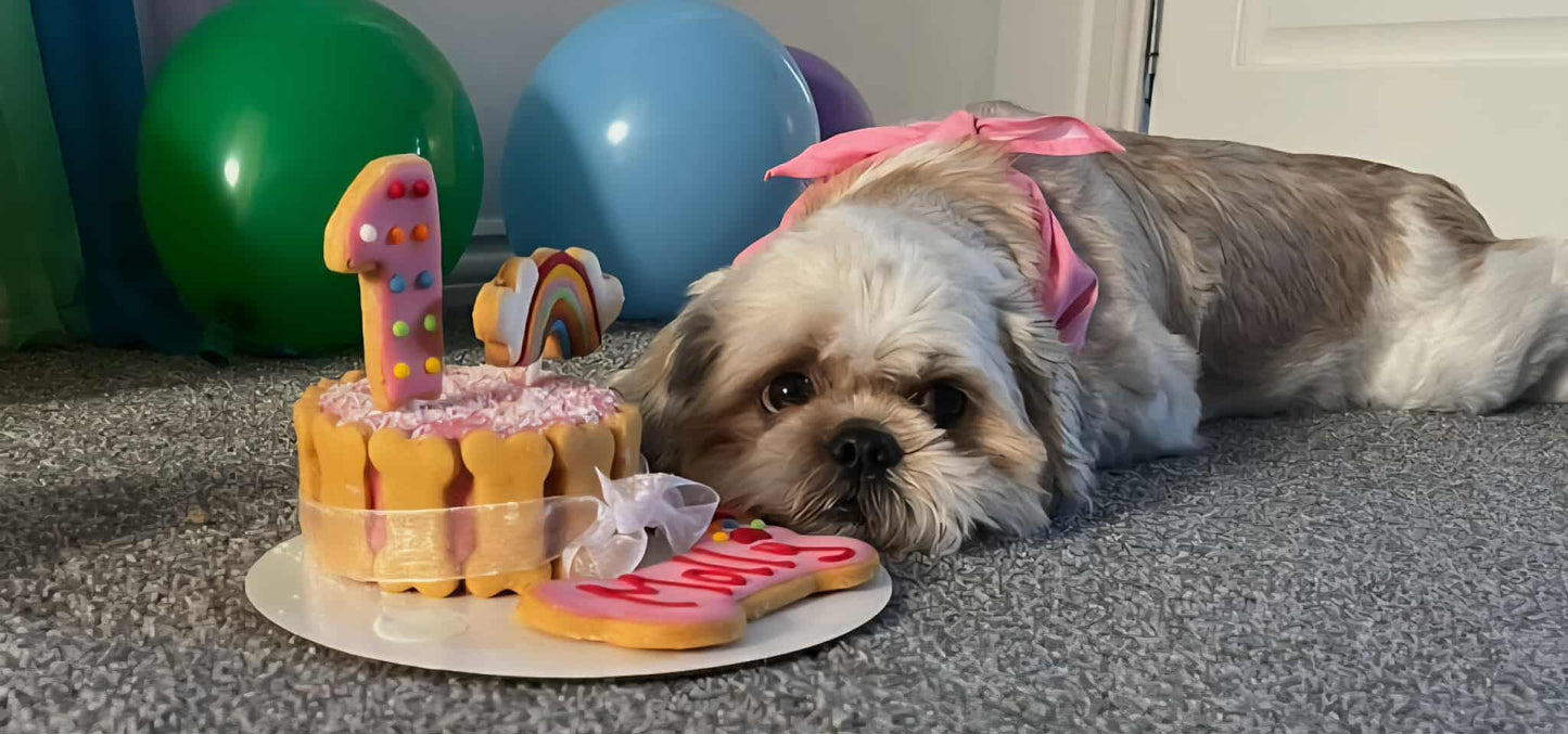 Rainbow Birthday Cake