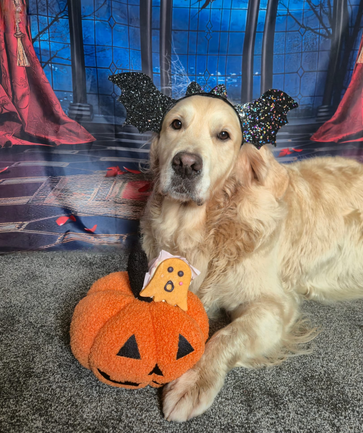 BIG GHOST MUFFIN WITH GHOST TOPPER