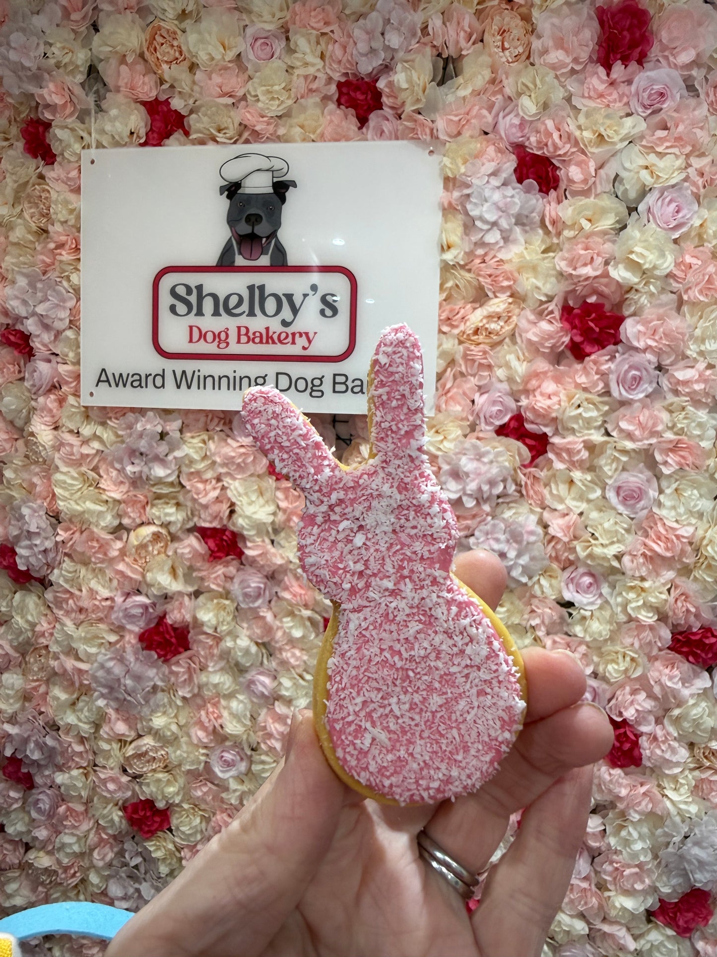 Pastel Coloured Coconut Bunnys