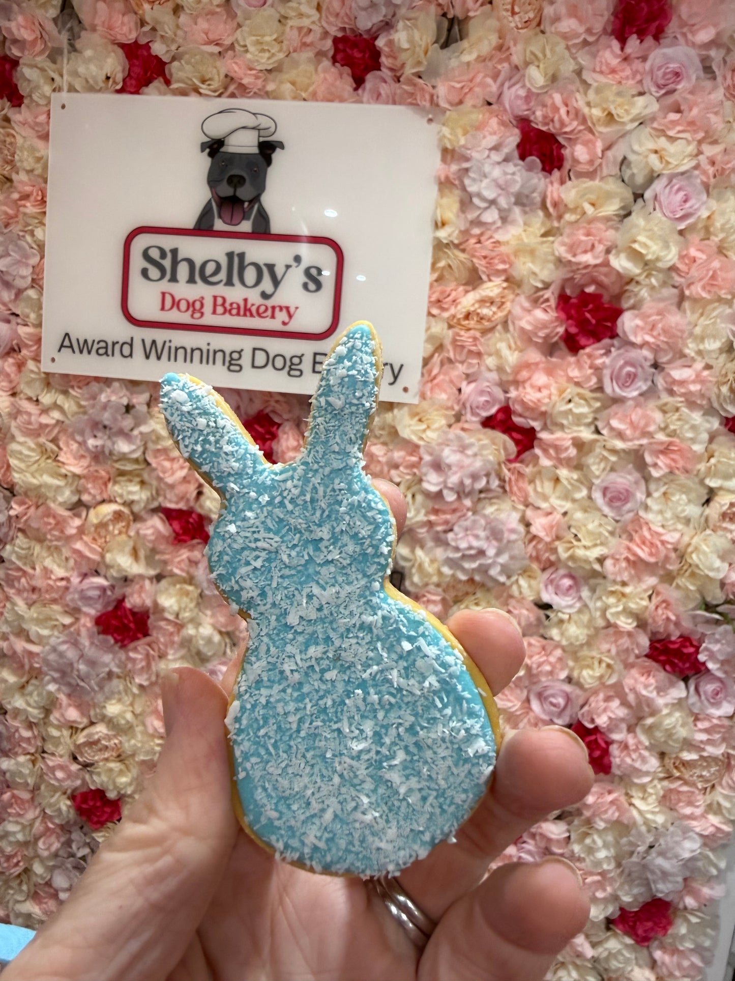 Personalised Egg and Bunny Pack - Choose Colour