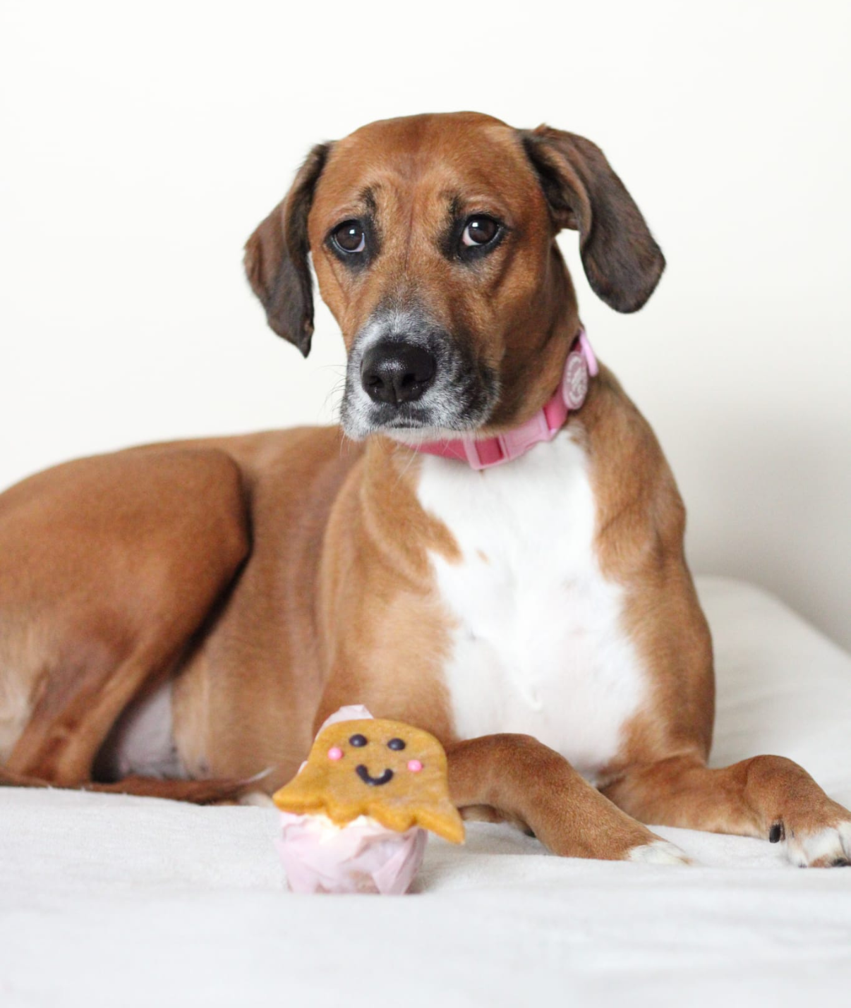 BIG GHOST MUFFIN WITH GHOST TOPPER