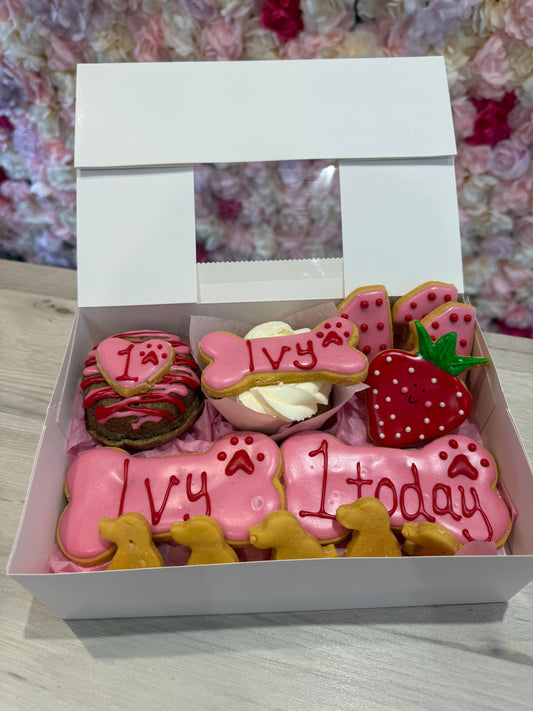 STRAWBERRY THEMED DOG FRIENDLY GOODIE COOKIE BIRTHDAY BOX