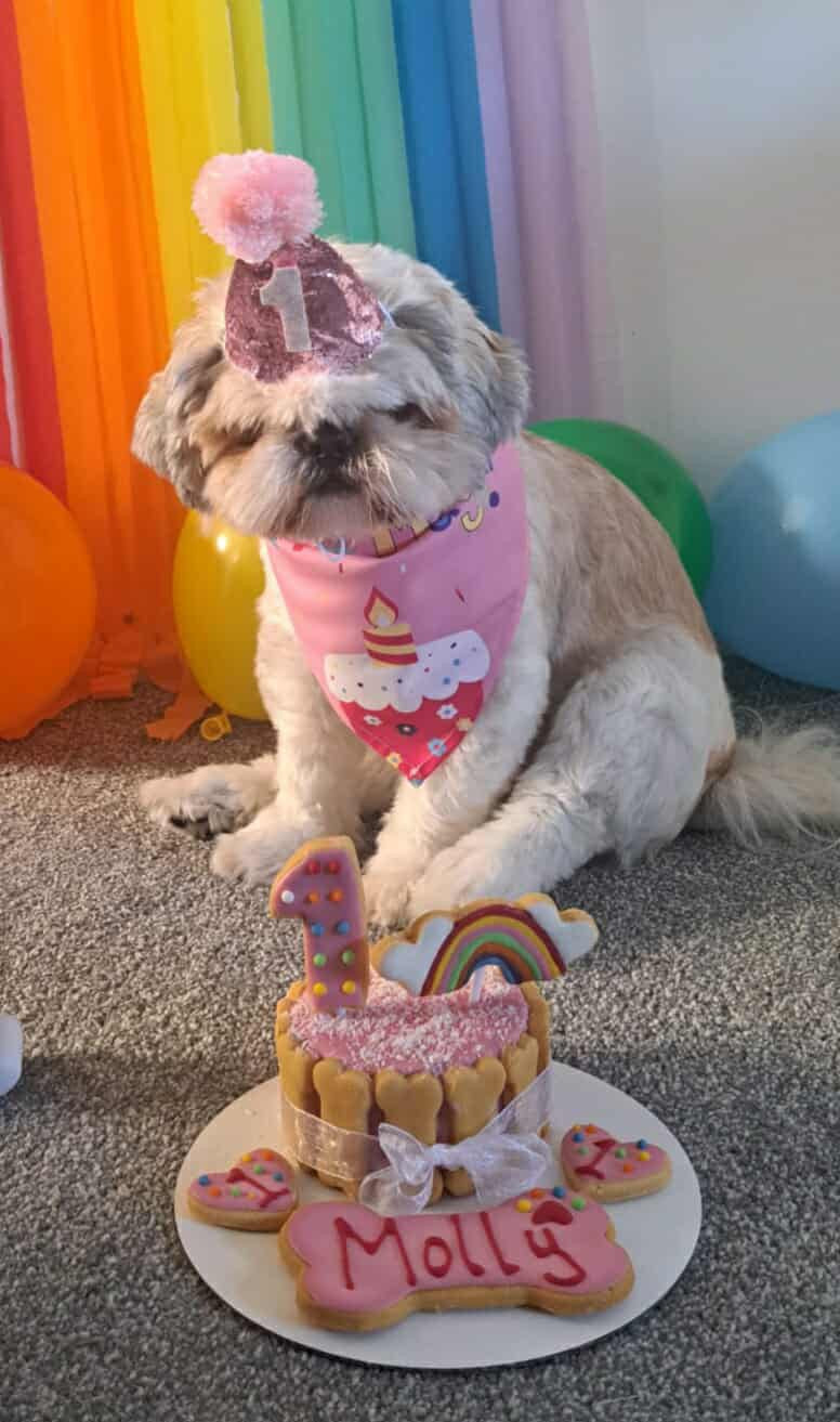 Rainbow Birthday Cake