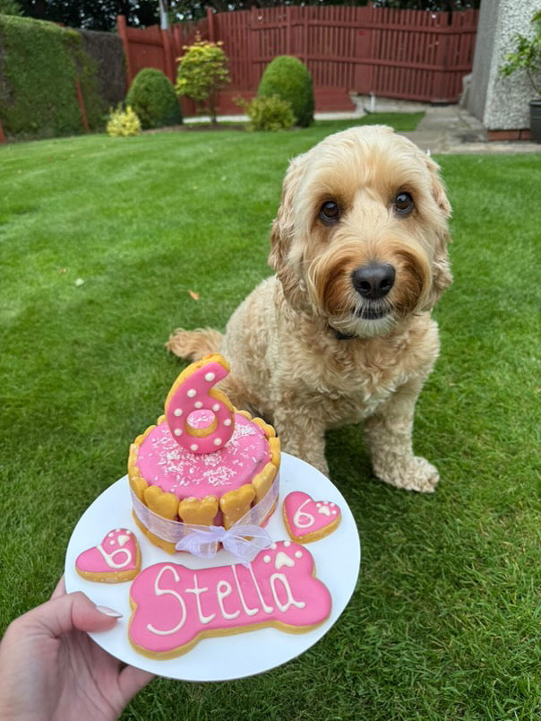 Classic Number Topper Dog Birthday Cake