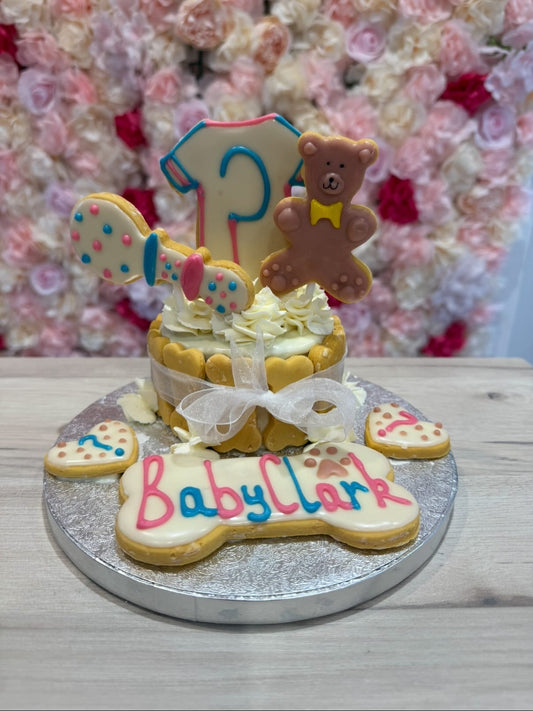 GENDER REVEAL DOG FRIENDLY CAKE