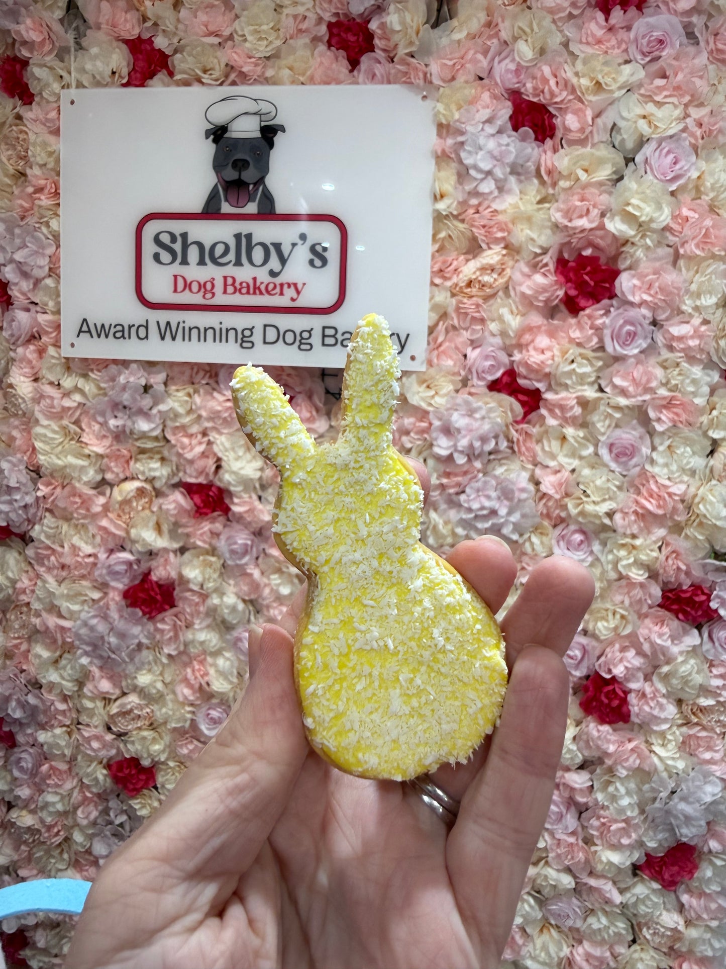 Pastel Coloured Coconut Bunnys