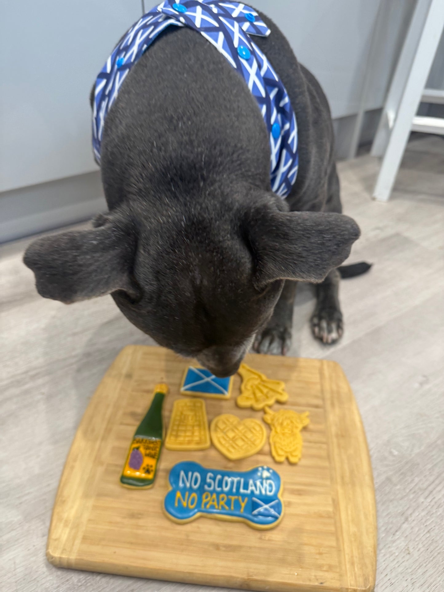 SCOTLAND COOKIES - WORLD CUP 2026