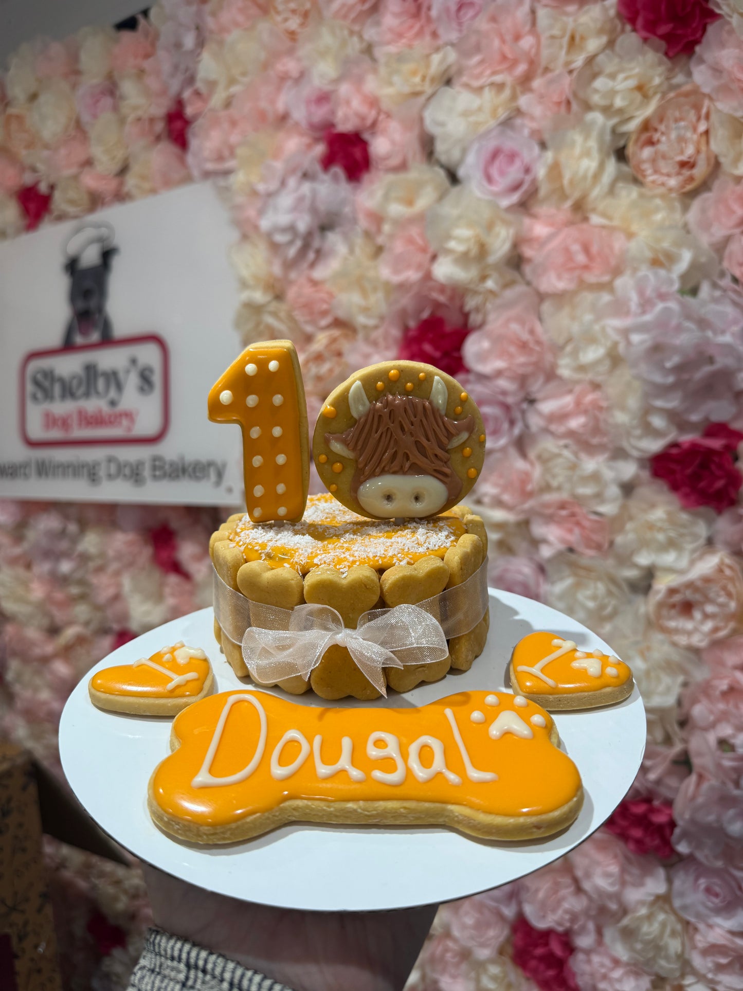 Highland Cow Cake
