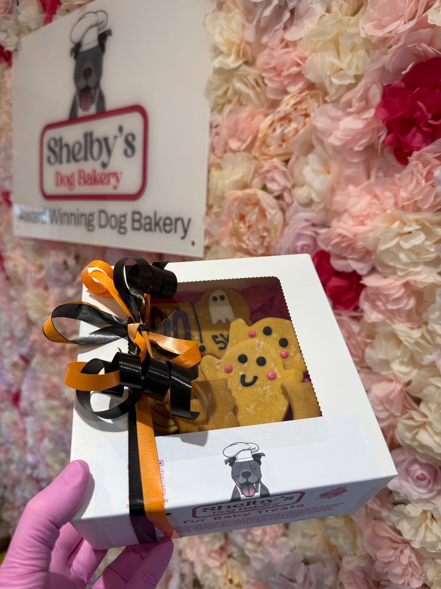 Spooky Bitch £10 Halloween Box