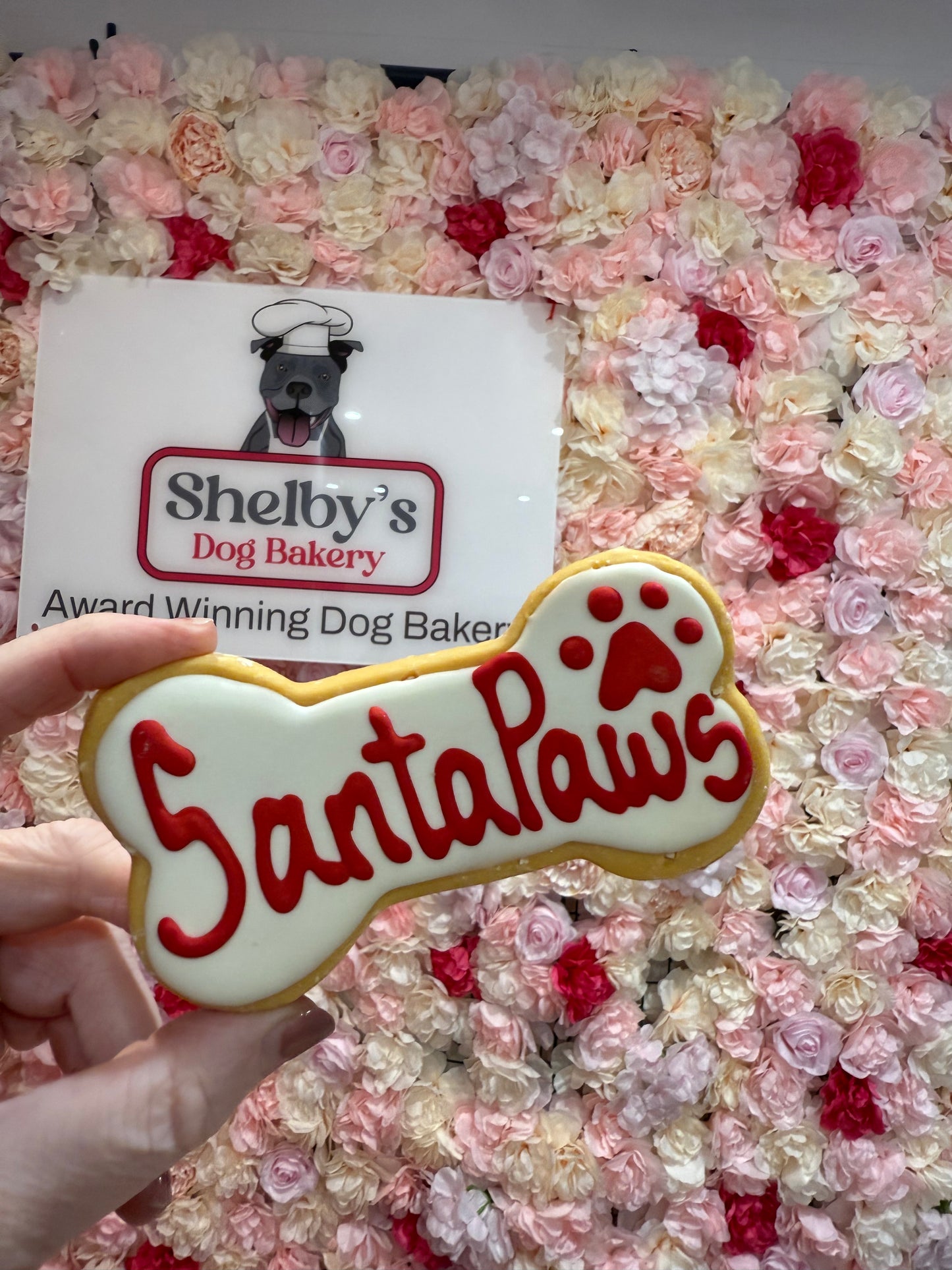 Santa Paws Cheese Flavoured Xmas Box